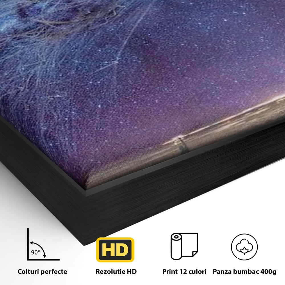 Detaliu al suprafetei: ilustratie digitala cu meduza cosmica si stele, in rama de aluminiu negru